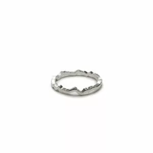 Ring depicting the John Muir Trail elevation