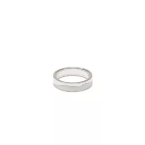 Horizon Ring